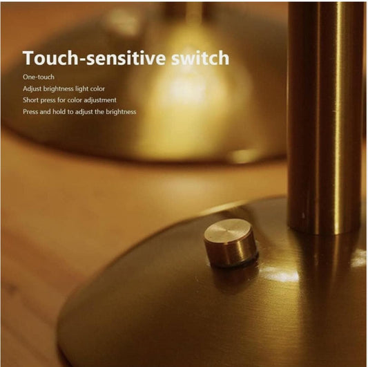 Rechargeable Brass Table Lamp – Modern Ribbed Acrylic Accent Light